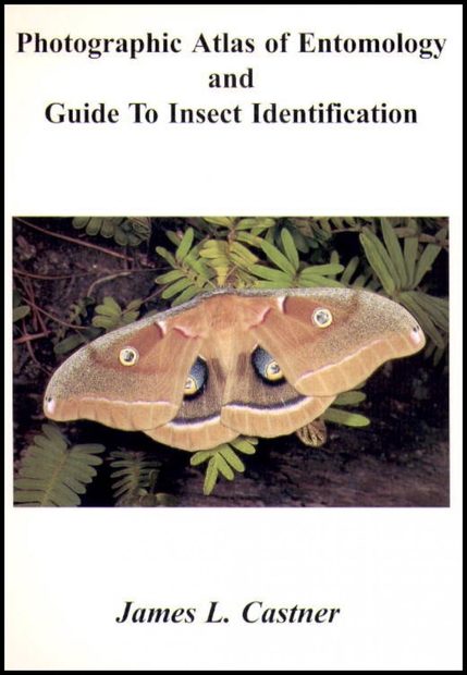 Photographic Atlas of Entomology and Guide to Insect Identification