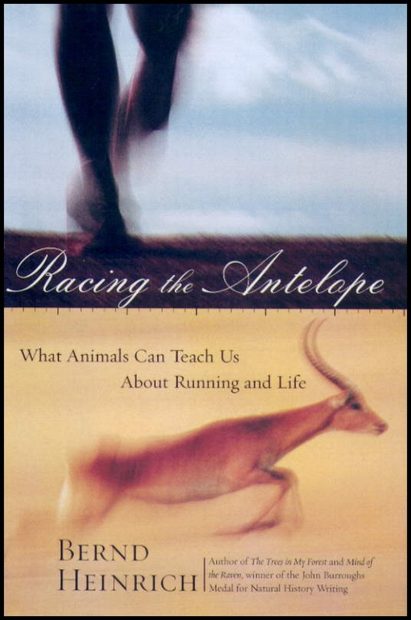 Racing the Antelope