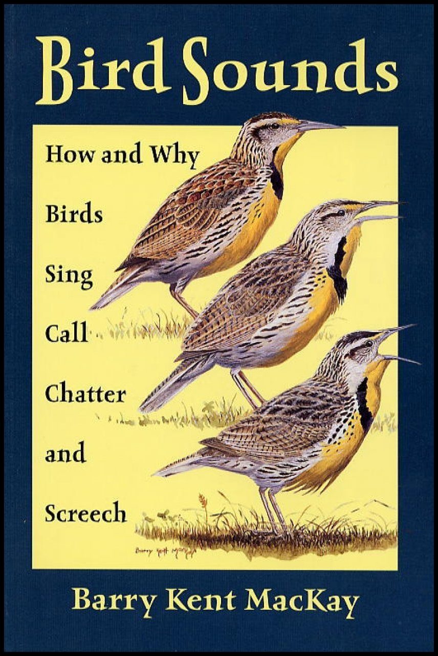 Bird Sounds: How and Why Birds Sing, Call, Chatter, and Screech | NHBS  Academic & Professional Books