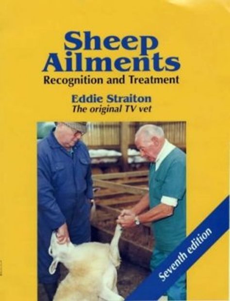Sheep Ailments