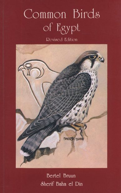 Common Birds of Egypt: With a Checklist of the Birds of Egypt | NHBS ...