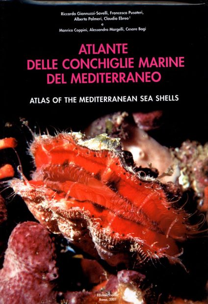 Atlas of the Mediterranean Seashells / Atlante delle Conchiglie Marine del Mediterraneo, Volume 7