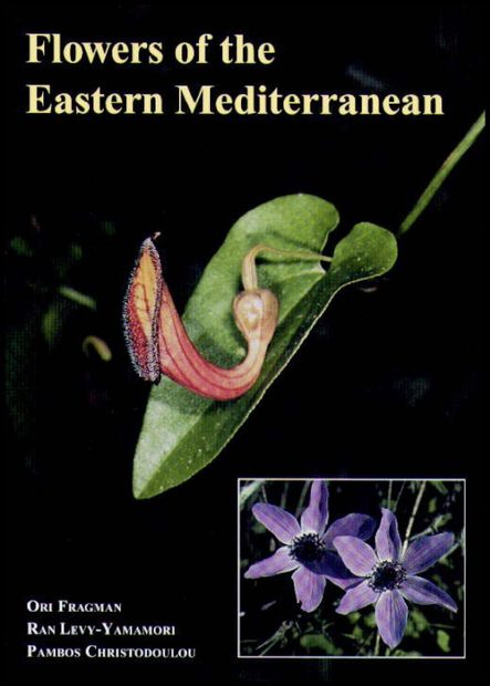 Flowers of the Eastern Mediterranean