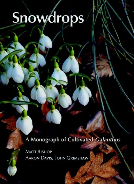 Snowdrops: A Monograph of Cultivated Galanthus