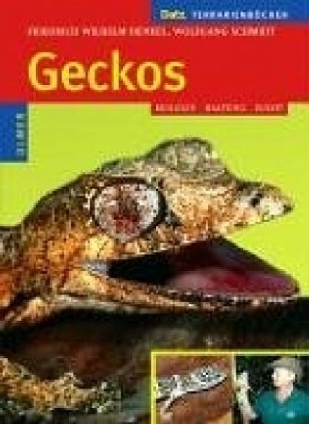 Geckos [German]