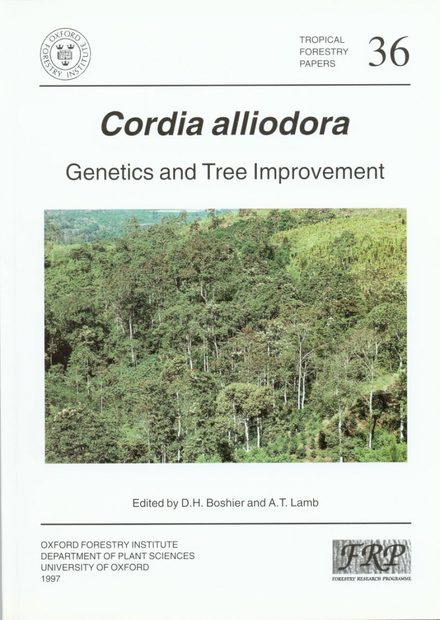 Cordia Alliodora