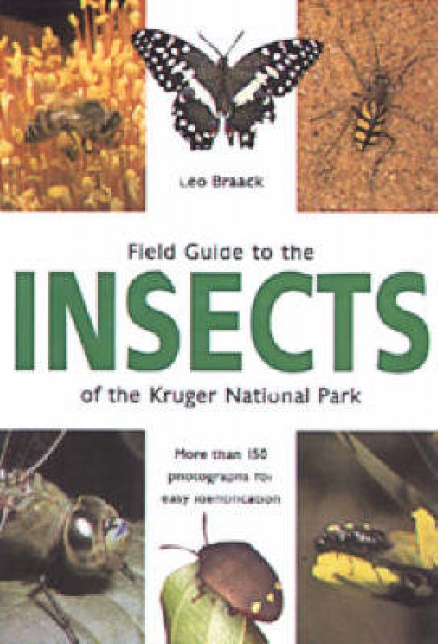 Field Guide to the Insects of the Kruger National Park | NHBS Field ...