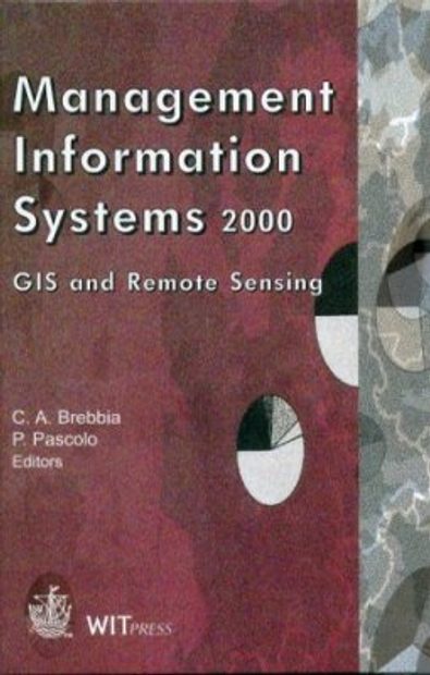 Managament Information Systems 2000