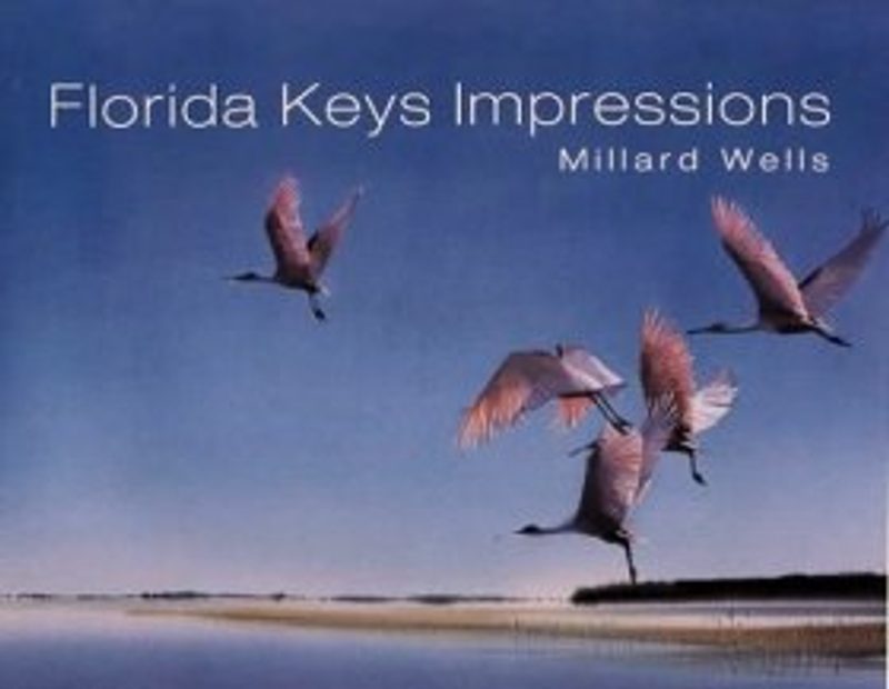 Florida Keys Impressions
