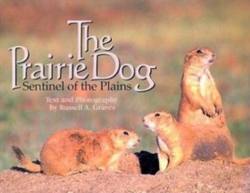 The Prairie Dog