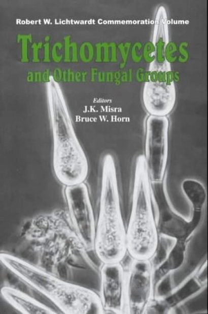 Trichomycetes and other Fungal Groups