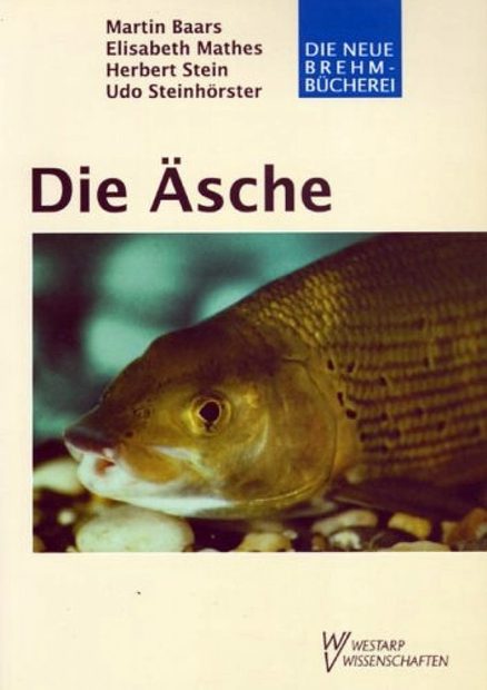 Die Äsche [The Grayling]