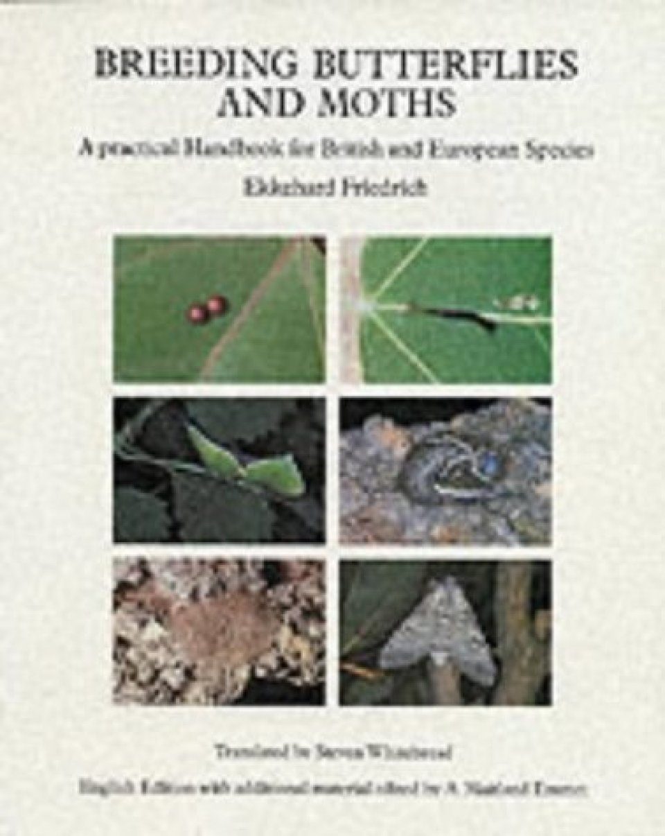 Breeding Butterflies And Moths A Practical Guide For