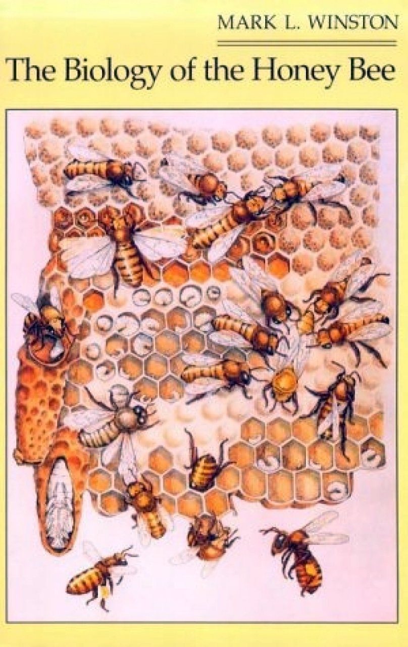 The Biology Of The Honey Bee | NHBS Academic & Professional Books