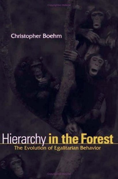 Hierarchy in the Forest