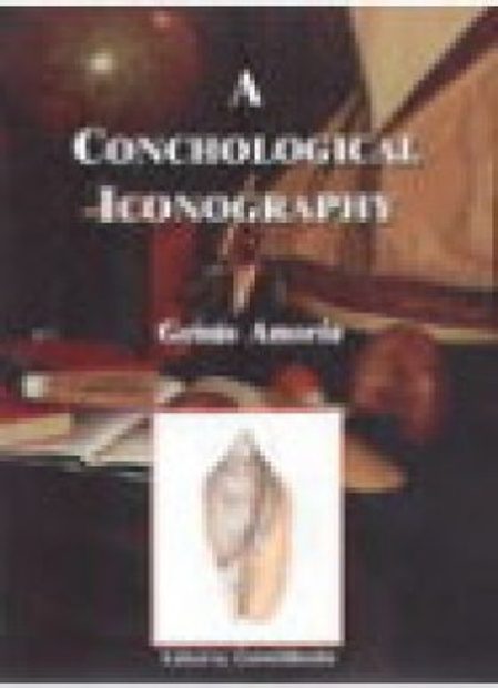A Conchological Iconography: The Genus Amoria