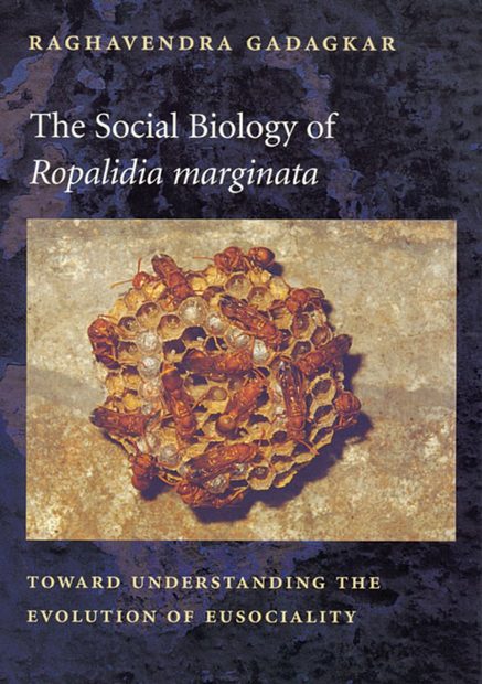 The Social Biology of Ropalidia marginata