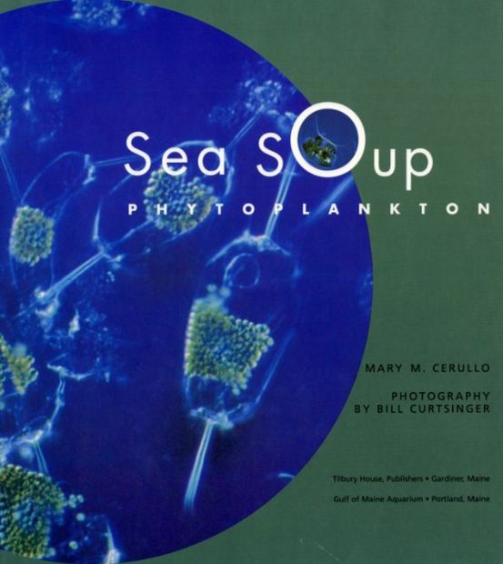 Sea Soup: Phytoplankton