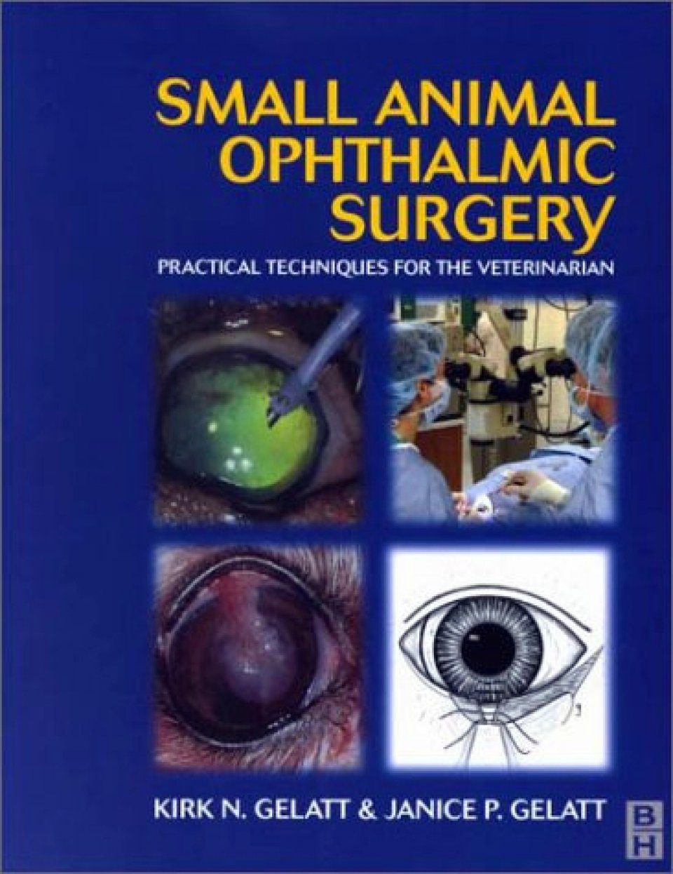 Small Animal Ophthalmic Surgery: Practical Techniques For The ...