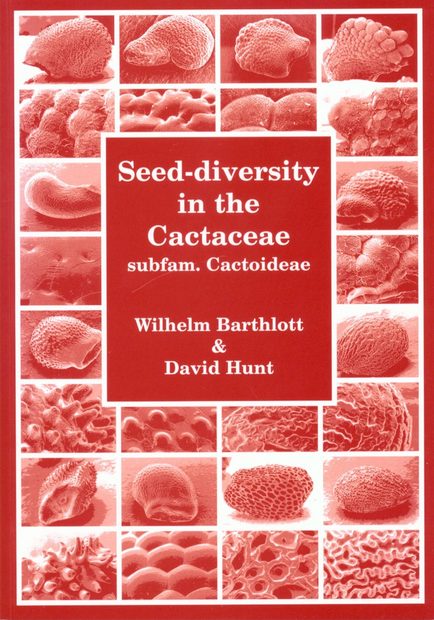 Seed-Diversity in the Cactaceae