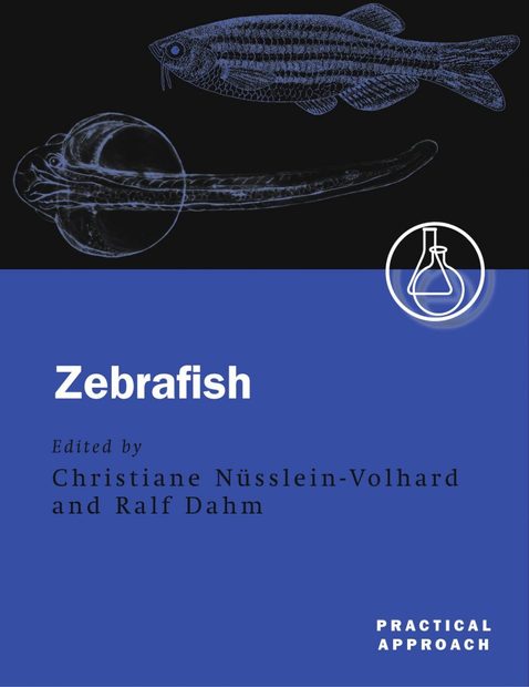 Zebrafish