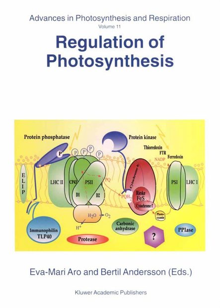 Regulations of Photosynthesis