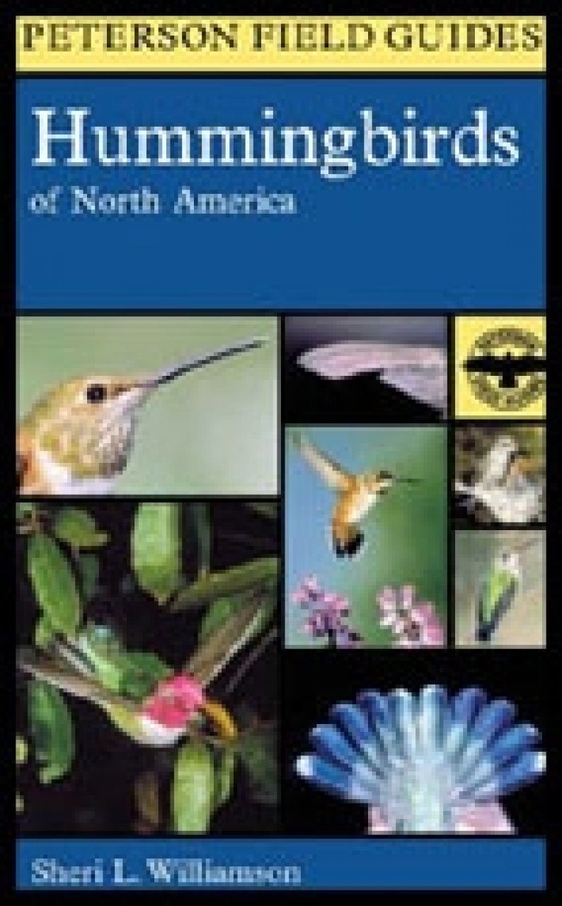 Peterson Field Guide to the Hummingbirds of North America | NHBS Field ...