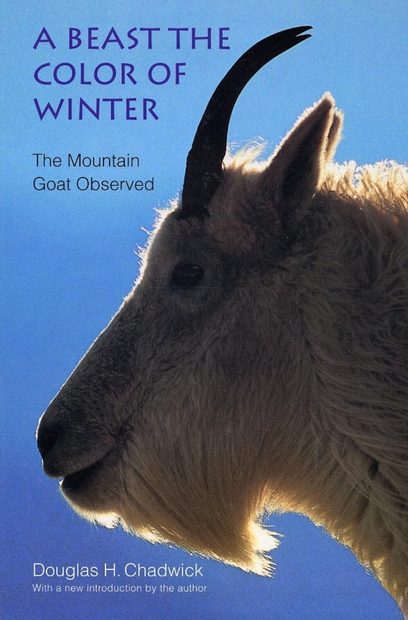 A Beast the Color of Winter