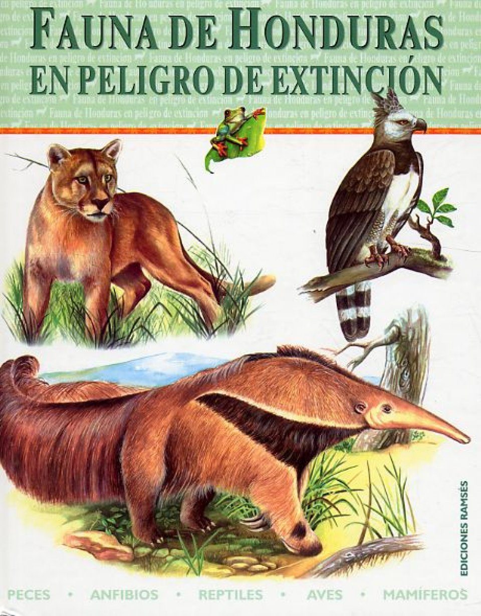 1001 Animales Aves Y Mamiferos Spanish Edition