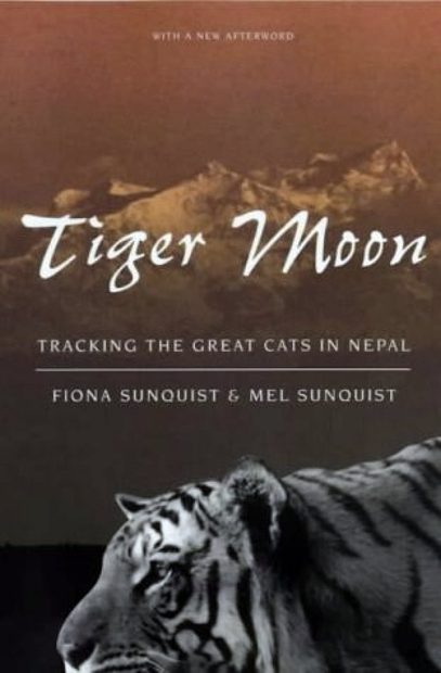 Tiger Moon