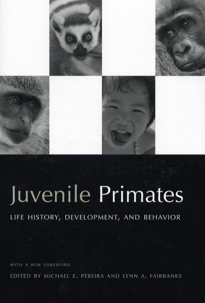 Juvenile Primates