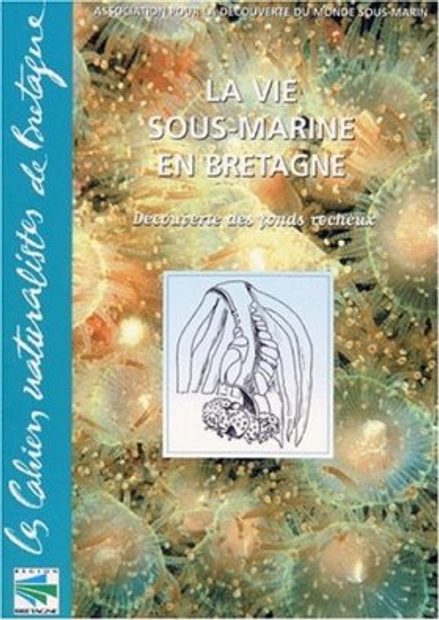 La Vie Sous-Marine en Bretagne: Découverte des Fonds Rocheux [Underwater Life in Brittany: Discovery of the Rocky Bottom]