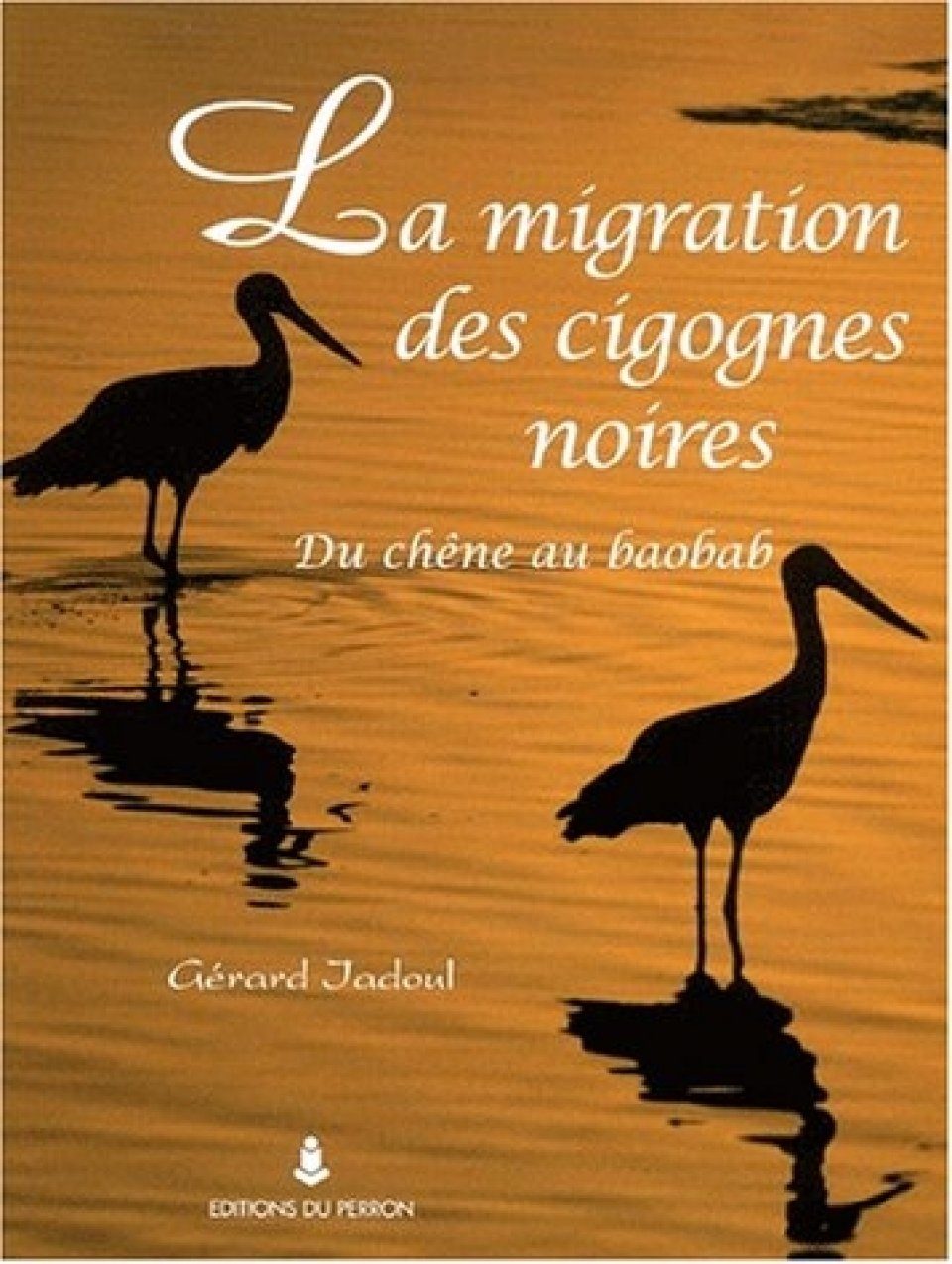 La Migration Des Cigognes Noires - 