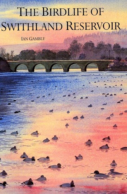 The Birdlife of Swithland Reservoir