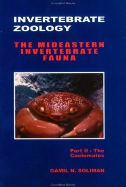 Invertebrate Zoology: The Mideastern Invertebrate Fauna Part 2