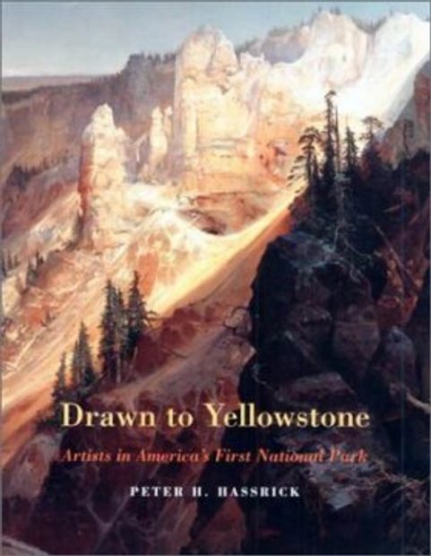Drawn to Yellowstone