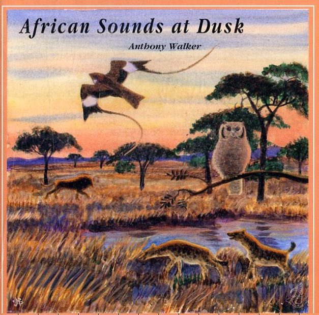 African Sounds at Dusk / Nuits Africaines