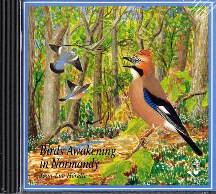 Birds Awakening in Normandy / Reveil des Oiseaux en Normandie