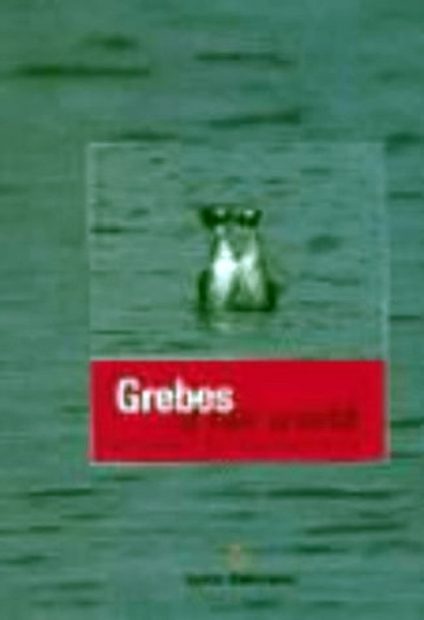 Grebes of our World