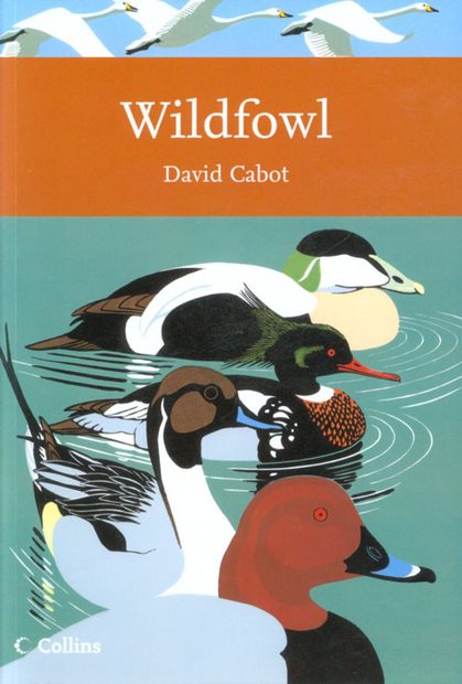 Wildfowl