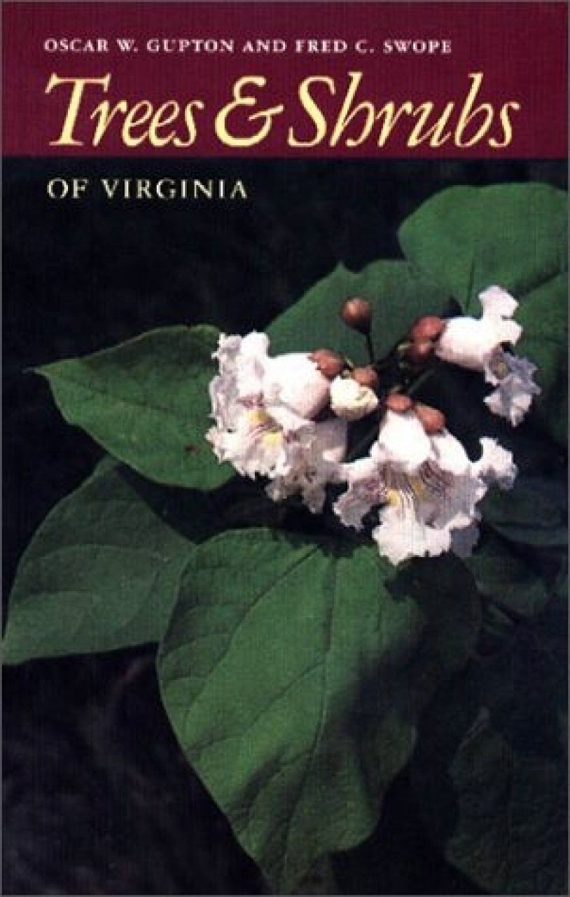 Trees And Shrubs Of Virginia Nhbs Field Guides Natural History