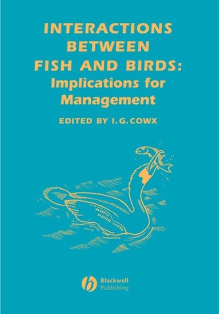 Interaction Between Fish and Birds