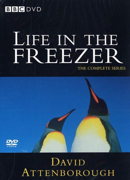 Life in the Freezer - DVD (Region 2 & 4)