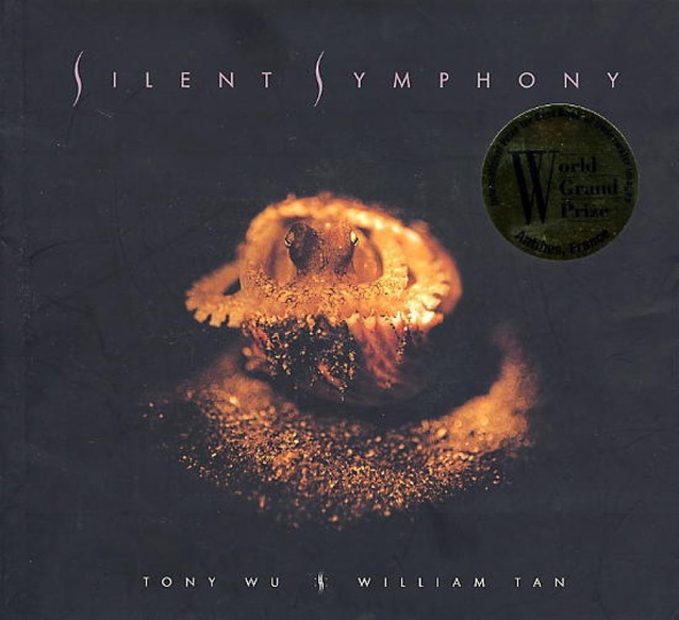 Silent Symphony