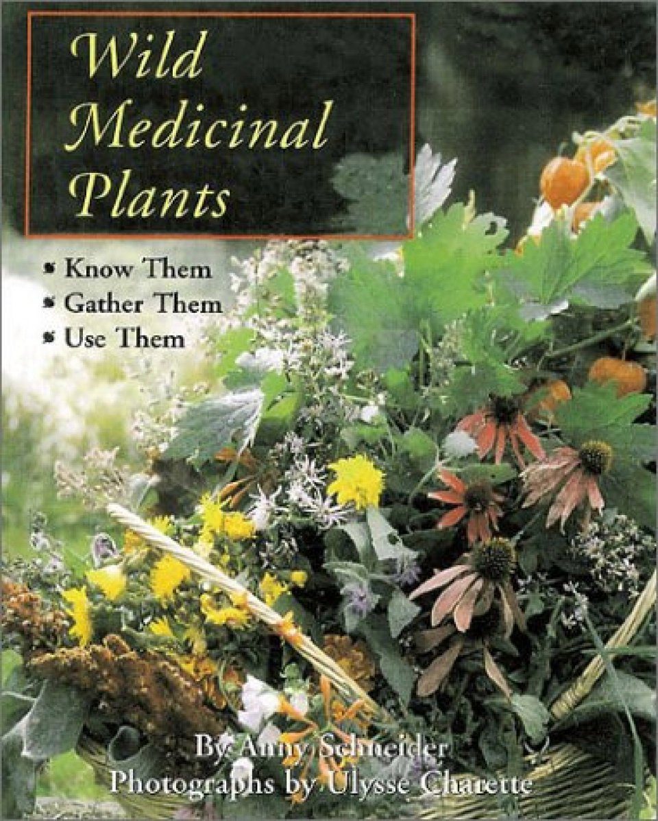 Wild Medicinal Plants | NHBS Field Guides & Natural History