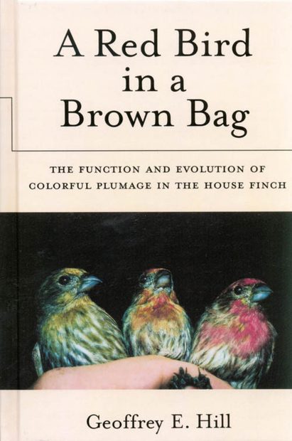 A Red Bird in a Brown Bag