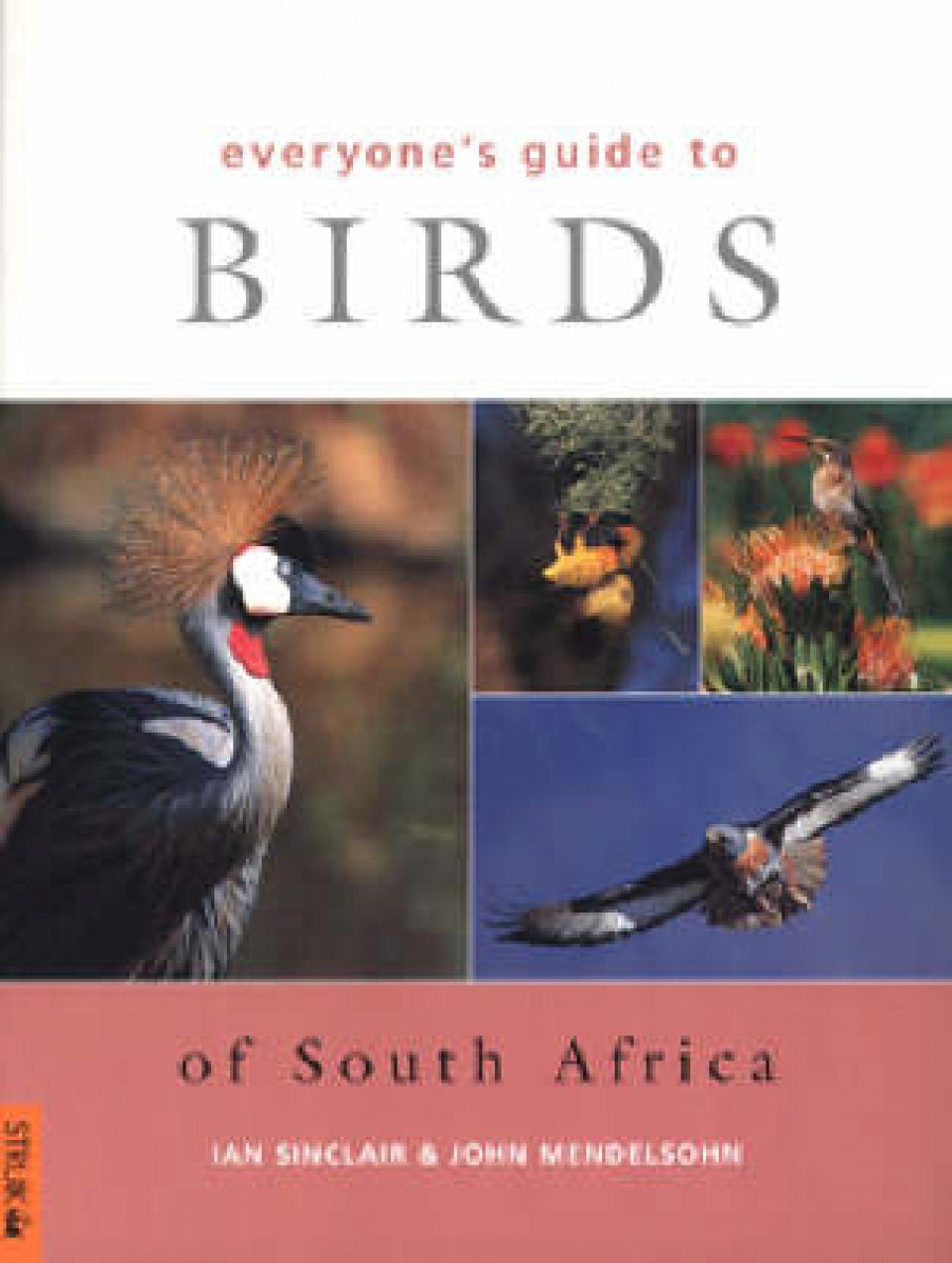 Everyone's Guide to Birds of South Africa | NHBS Field Guides & Natural ...