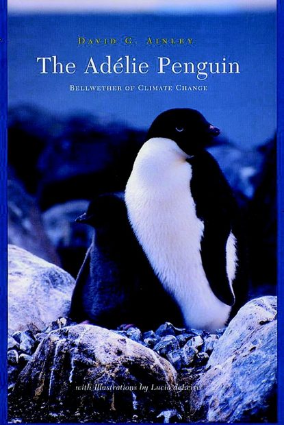 The Adélie Penguin