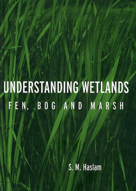 Understanding Wetlands