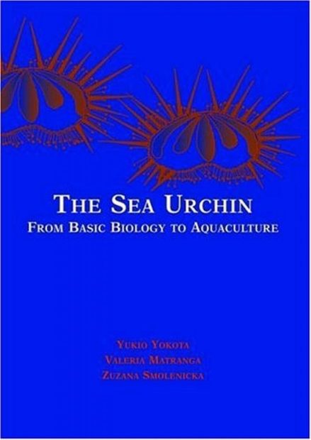 The Sea Urchin